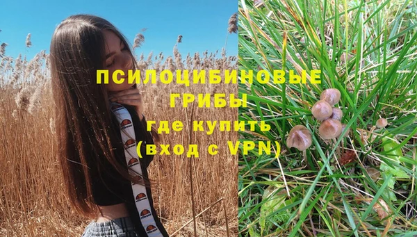 прущие крисы Бородино