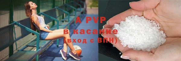 прущие крисы Бородино