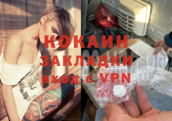 прущие крисы Бородино