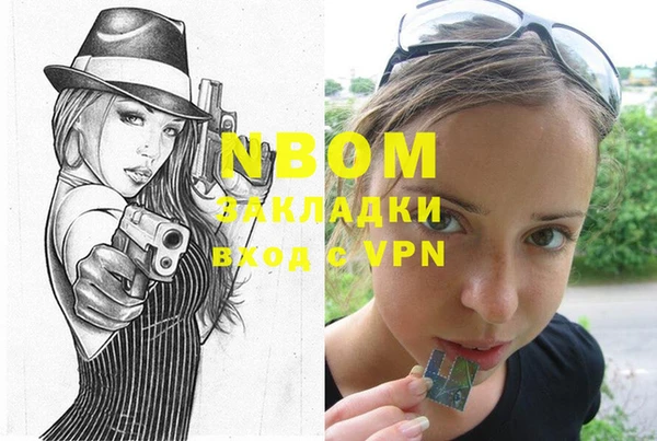 прущие крисы Бородино